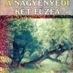 Jókai Mór: A nagyenyedi két fűzfa olvasónapló