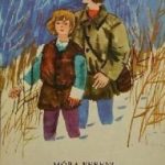 Móra Ferenc: Rab ember fiai olvasónapló