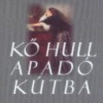 Szilágyi István: Kő hull apadó kútba olvasónapló