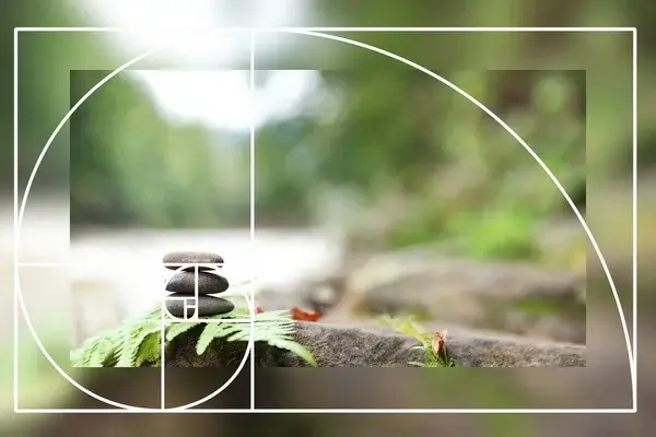 A Fibonacci-számok titkai: Miért fontosak a természetben?