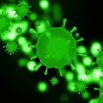 A vírusok és baktériumok közötti különbségek