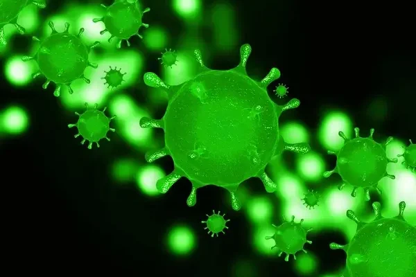 A vírusok és baktériumok közötti különbségek